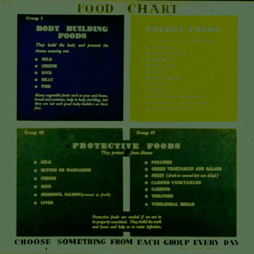 Protoactive Food Chart