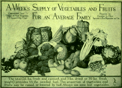 Week's Supply of Vegetables and Fruits